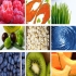 Nutrition physiologique