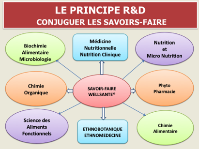 Recherche et Développement chez Wellsanté